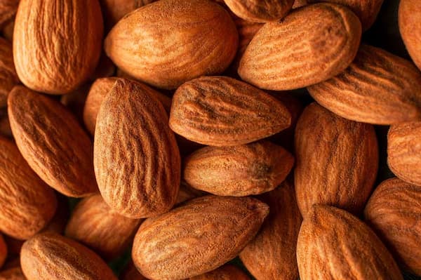 تصویر 5 از خرید و قیمت مغز بادام درختی شور + فروش عمده
